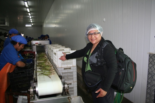 elaboraciondelproductoramosspaans