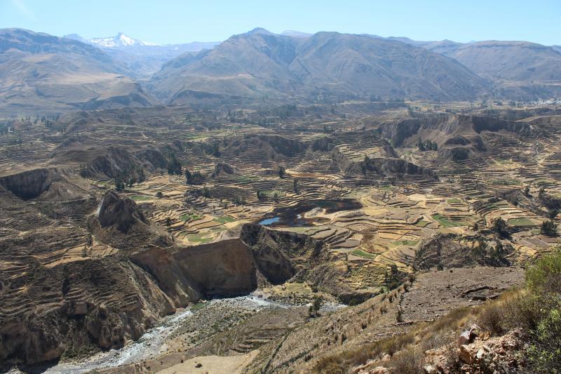 Reizen 2016 deel 1 Peru